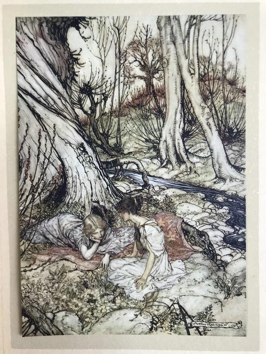 鬼才拉克姆40幅彩色手工贴图！1908年首版 莎士比亚《仲夏夜之梦》 漆布精装16开 商品图7