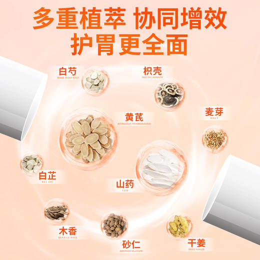 翠云堂黄芪山药胶囊 10粒/板 商品图3