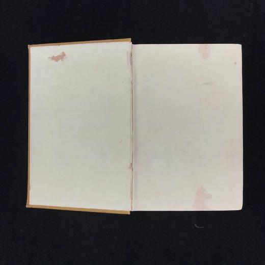 约19世纪后期 鲁宾逊漂流记 约10余幅插图 漆布精装32开 商品图2