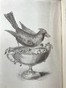1891年 布莱特温夫人《以善意赢得的野生自然》 17幅插图 真皮精装36开 商品缩略图12
