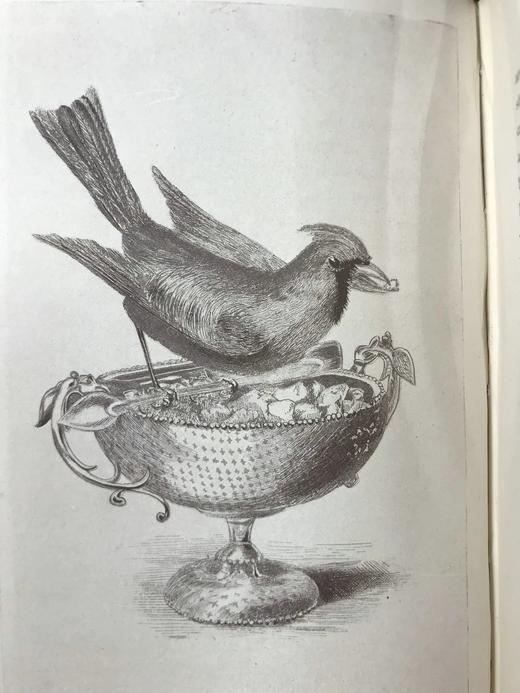 1891年 布莱特温夫人《以善意赢得的野生自然》 17幅插图 真皮精装36开 商品图12