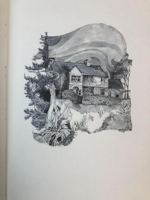 限量版！艾米莉・勃朗特《呼啸山庄》配插图 富兰克林图书馆豪华皮装本 商品图4