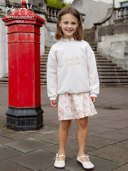 浅粉色刺绣卫衣 商品图0