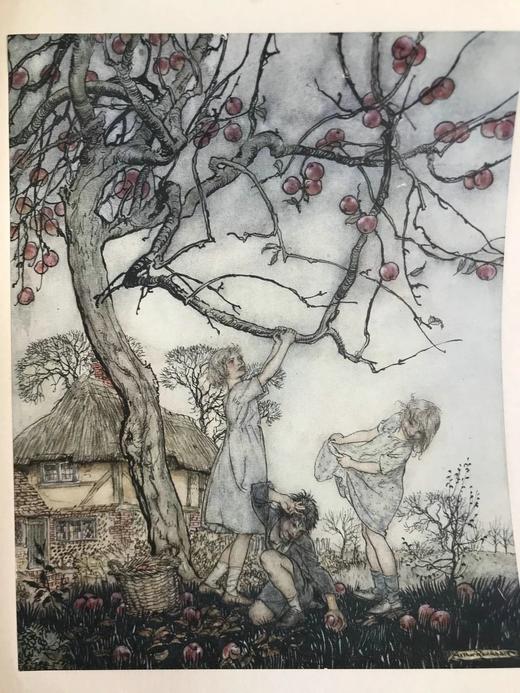 约20世纪早期 菲尔波茨《一碟苹果》 鬼才拉克姆3幅彩色7幅黑白插图 漆布精装32开 商品图5