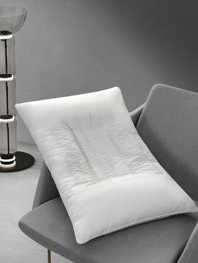 南方寝饰乳胶颗粒枕