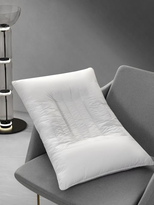 南方寝饰乳胶颗粒枕 商品图0