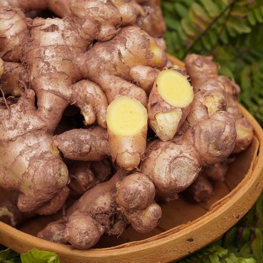 010小黄姜 【冒嫩芽】西双版纳高海拔10个月生长周期 姜中黄金 皮金黄透亮 块根小巧紧实 辛辣中带着淡淡回甘 商品图3