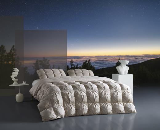 南方寝饰致柔鹅肉加厚冬被 商品图0