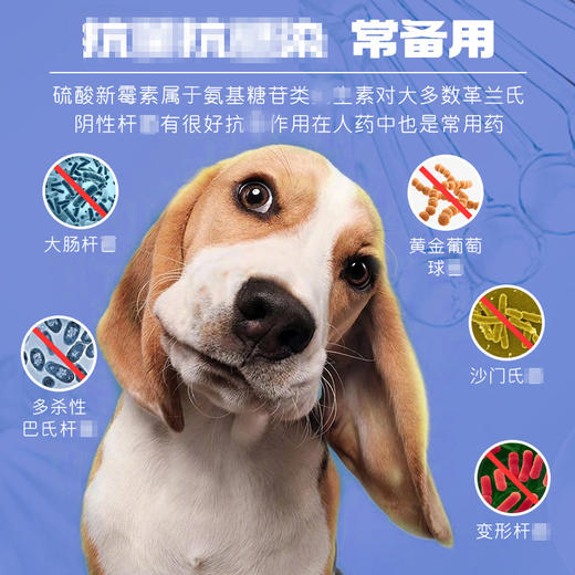 【德赛宝】硫酸新霉素宠物滴眼液8ml/瓶狗狗猫咪眼药水洗眼液 商品图4