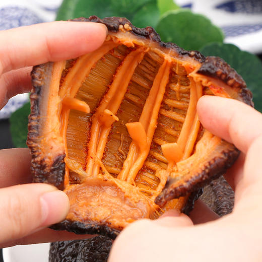 Ocean Feast 北极淡干海参【开口参/454g袋装】 商品图3