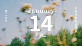 爱就藏在这些“无所事事”的并肩散步里。