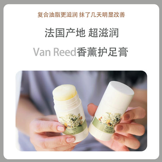 Van Reed护足膏【两只装】 商品图0