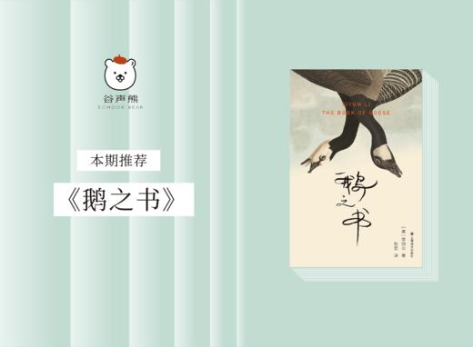 《鹅之书》：2023年美国笔会福克纳小说奖；李翊云奠定美国文坛地位代表作 商品图0