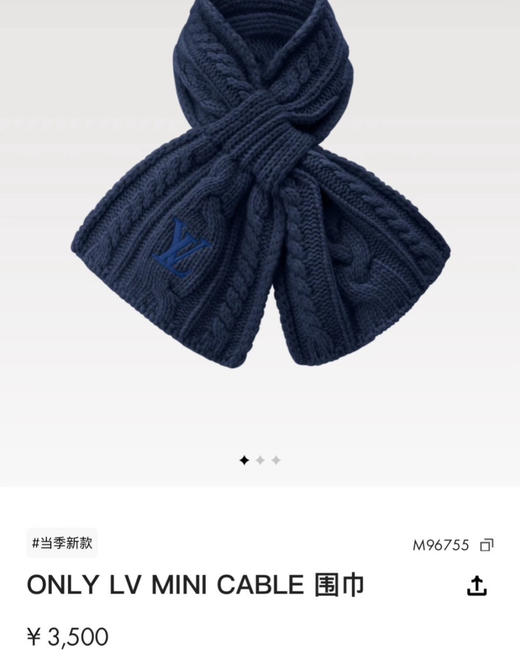 秋冬特惠💰320 LV围巾 永不冻结围脖 商品图8