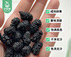 切糕王子新疆黑桑葚干/1罐（250g）生产日期：26年5月 商品缩略图2