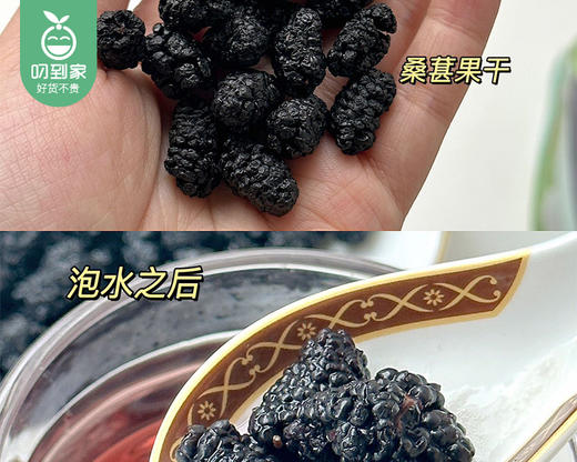 切糕王子新疆黑桑葚干/1罐（250g）生产日期：26年5月 商品图3