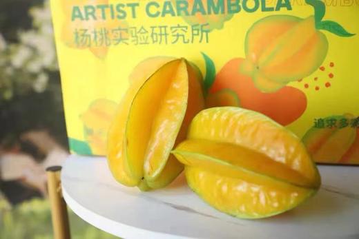 【会员9.5/颗】吃海农业福建下河树熟甜杨桃 需切请备注 200g/颗 商品图7