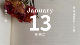 用寻找美，来对抗世上的伤害。