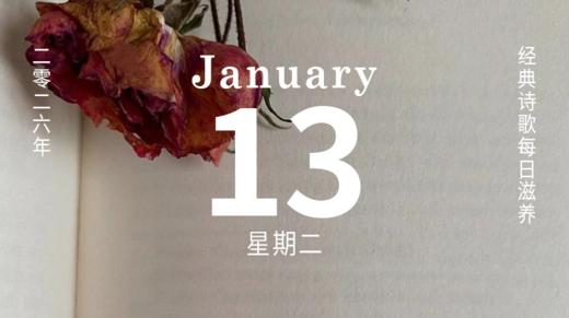 用寻找美，来对抗世上的伤害。 商品图0