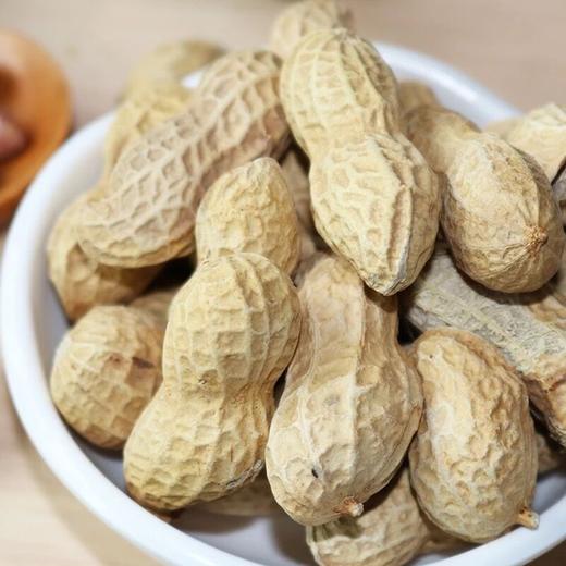 长领 奶香味花生 450g/包 商品图1