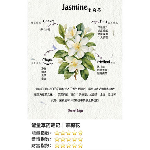 精研茉莉润光肌密喷雾即时紧致时光胶原肉do胜肽褪红82ml 商品图4