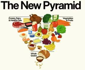  最新版美国饮食指南（中文版）