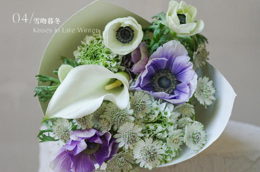 寻曦札记 The Dawn Journals 商品图4