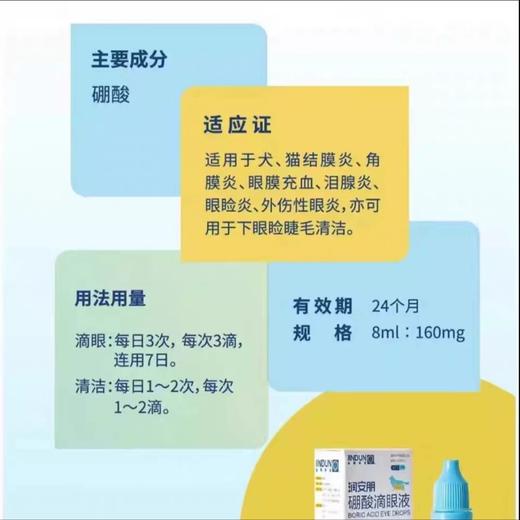 金盾药业 润安朋 硼酸滴眼液 8ml/瓶  疱疹病毒 杯状病毒 猫狗结膜炎 角膜炎 商品图1
