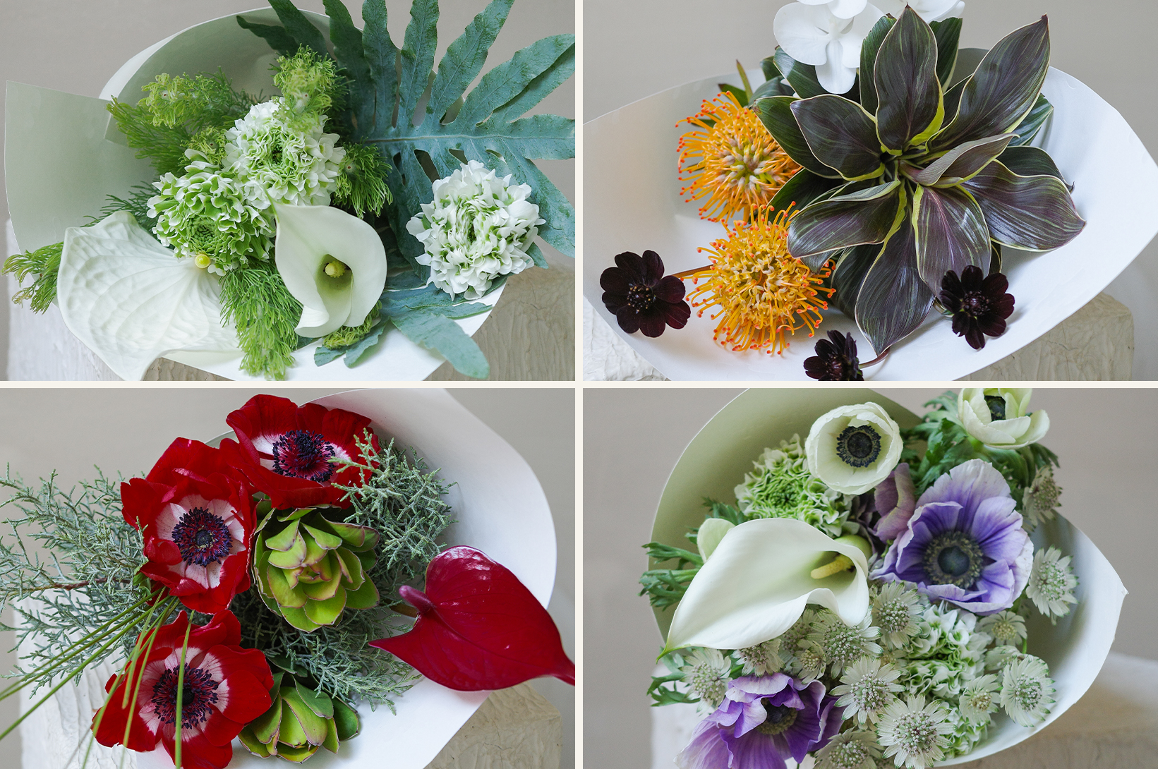 寻曦札记 The Dawn Journals