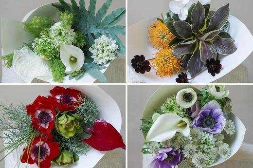 寻曦札记 The Dawn Journals 商品图0