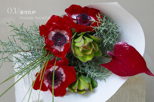 寻曦札记 The Dawn Journals 商品图3