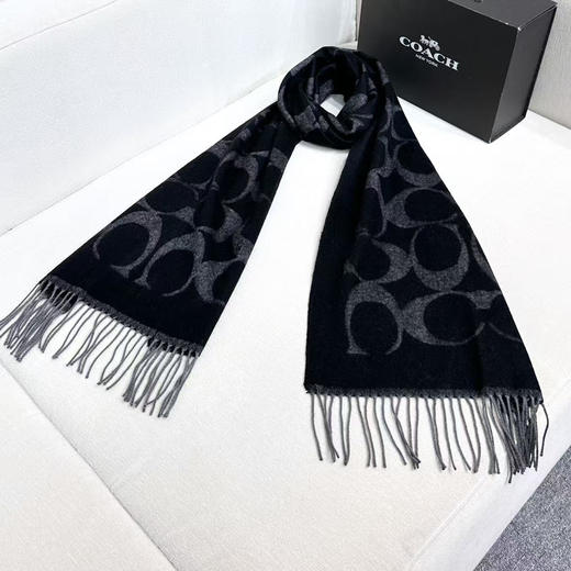 秋冬特惠💰240 蔻驰围巾新款大C字母 商品图5