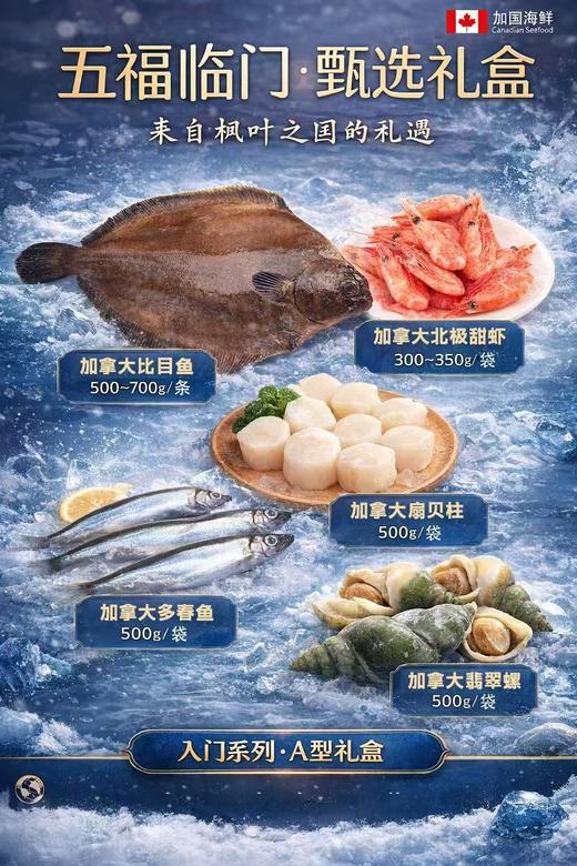 2026新春海鲜大礼包 商品图11