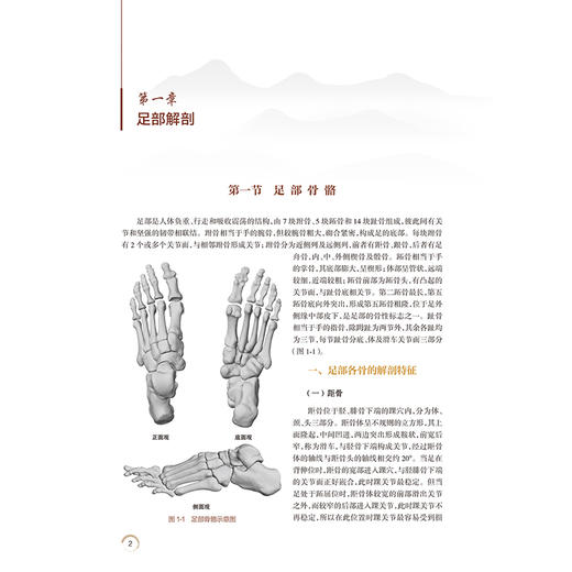 中西医结合微创治疗(足母)外翻及相关病症 温建民 包括微创截骨手法整复术裹帘外固定法中药内服外用中医康复技术等人民卫生出版社 商品图4