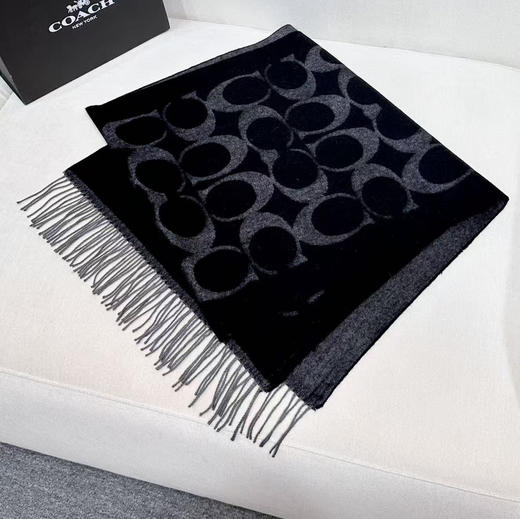 秋冬特惠💰240 蔻驰围巾新款大C字母 商品图6