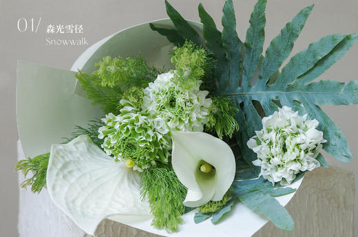 寻曦札记 The Dawn Journals 商品图1