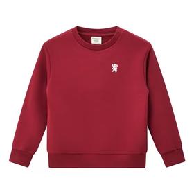 佐丹奴童装25年新款棉涤纶抓绒布圆领卫衣03025719