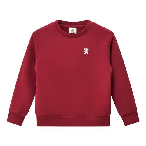 佐丹奴童装25年新款棉涤纶抓绒布圆领卫衣03025719 商品图0