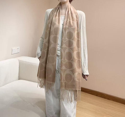 秋冬特惠💰240 蔻驰围巾新款大C字母 商品图1