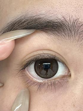 Monica Mor半年抛美瞳 大栗松饼 14.5mm