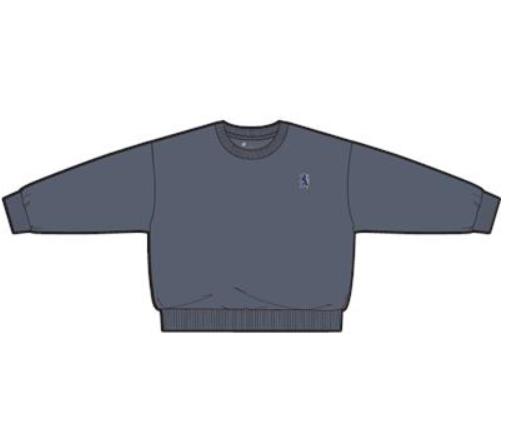 佐丹奴童装25年新款棉涤纶抓绒布圆领卫衣03025719 商品图2