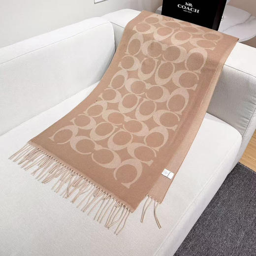 秋冬特惠💰240 蔻驰围巾新款大C字母 商品图0