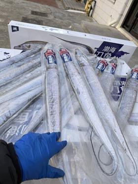 渤海刀鱼 [纯当地渤海刀]