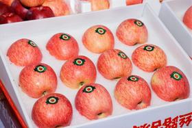 【泾川馆-艺果优品】甘肃平凉静宁泾川红富士苹果冰糖心苹果产地直发脆甜多汁精品礼盒