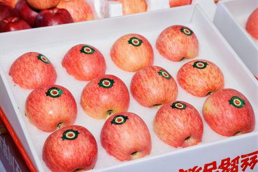 【泾川馆-艺果优品】甘肃平凉静宁泾川红富士苹果冰糖心苹果产地直发脆甜多汁精品礼盒 商品图0