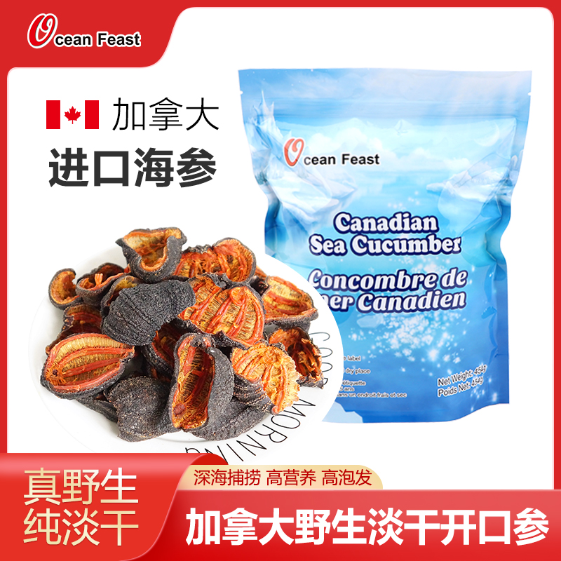 Ocean Feast 北极淡干海参【开口参/454g袋装】