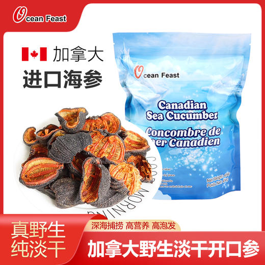Ocean Feast 北极淡干海参【开口参/454g袋装】 商品图0