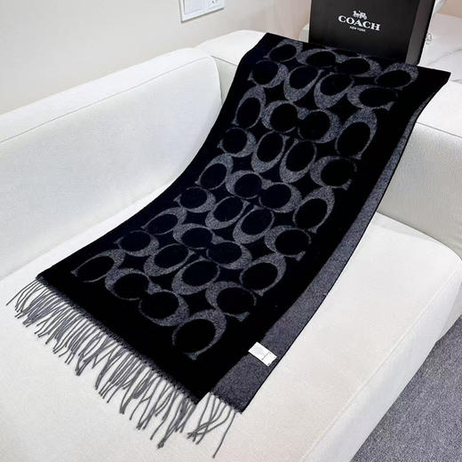 秋冬特惠💰240 蔻驰围巾新款大C字母 商品图0