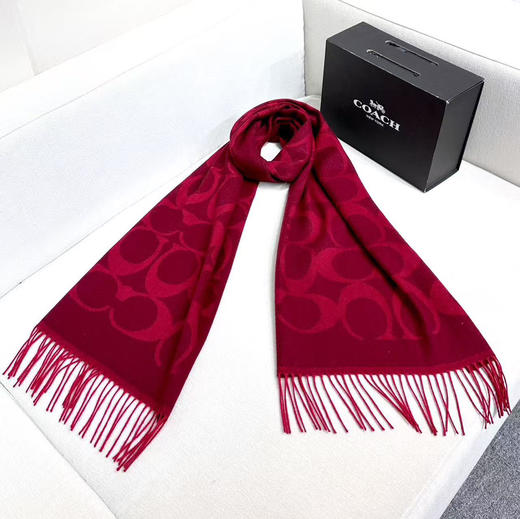秋冬特惠💰240 蔻驰围巾新款大C字母 商品图5