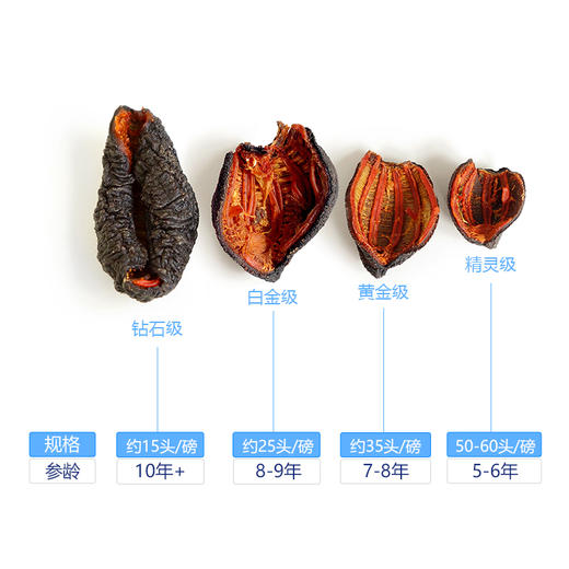 Ocean Feast 北极淡干海参【开口参/454g袋装】 商品图1